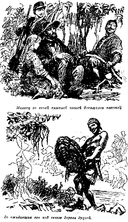 Иллюстрация к книге — Белая перчатка. В дебрях Борнео. В поисках белого бизона [i_029.png]