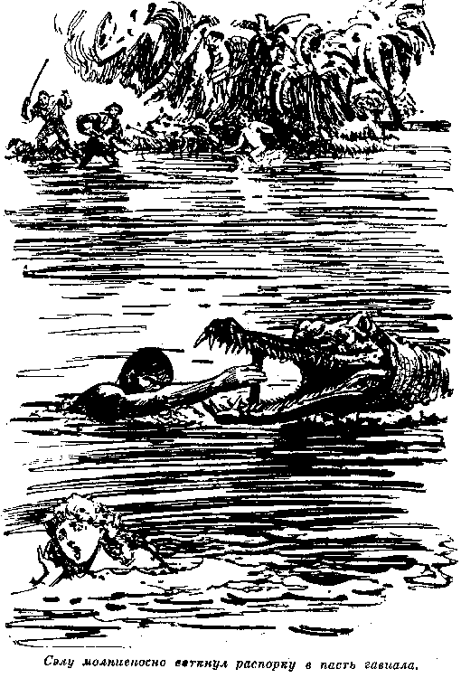 Иллюстрация к книге — Белая перчатка. В дебрях Борнео. В поисках белого бизона [i_030.png]