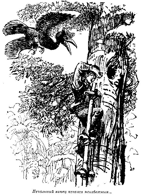 Иллюстрация к книге — Белая перчатка. В дебрях Борнео. В поисках белого бизона [i_032.png]