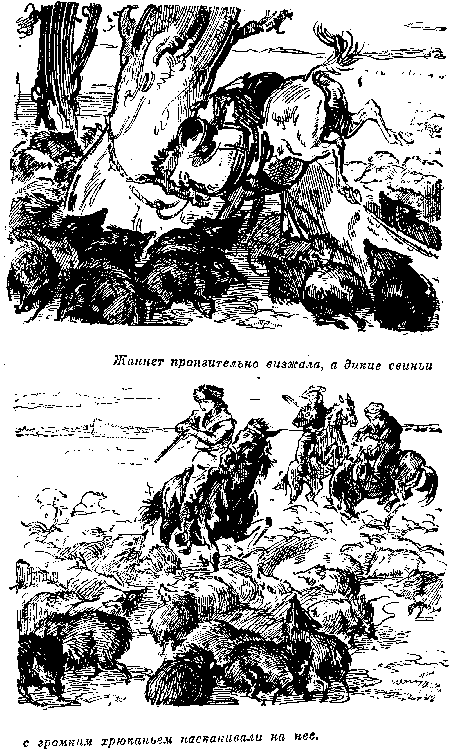 Иллюстрация к книге — Белая перчатка. В дебрях Борнео. В поисках белого бизона [i_045.png]