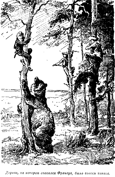 Иллюстрация к книге — Белая перчатка. В дебрях Борнео. В поисках белого бизона [i_050.png]