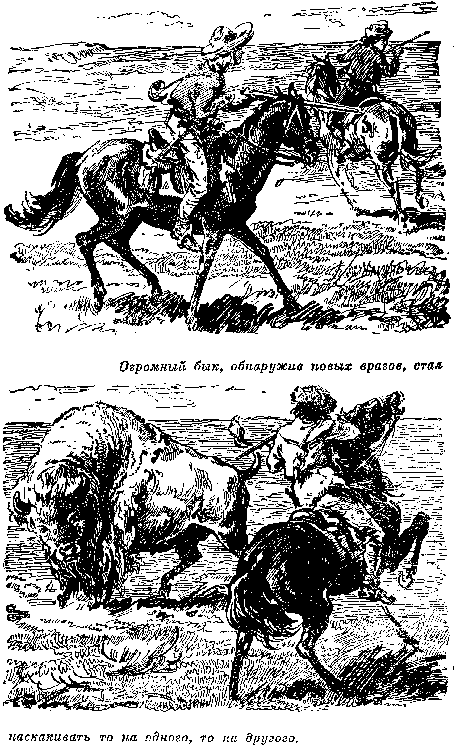 Иллюстрация к книге — Белая перчатка. В дебрях Борнео. В поисках белого бизона [i_052.png]