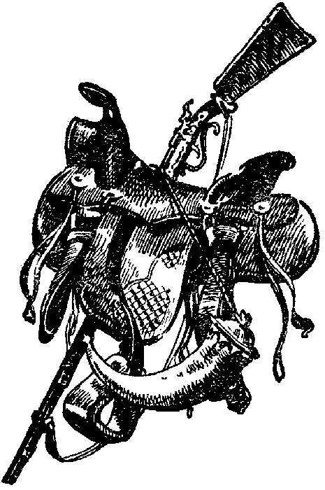 Иллюстрация к книге — Белая перчатка. В дебрях Борнео. В поисках белого бизона [i_055.png]