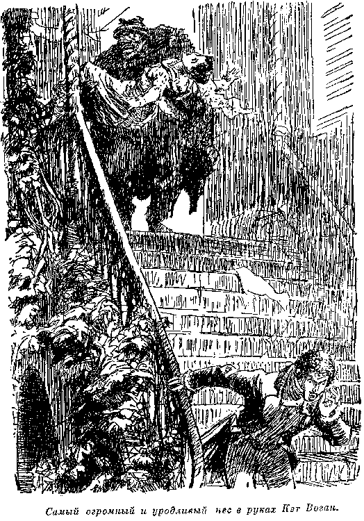 Иллюстрация к книге — Мароны. Всадник без головы [i_019.png]