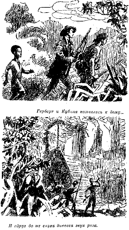 Иллюстрация к книге — Мароны. Всадник без головы [i_020.png]