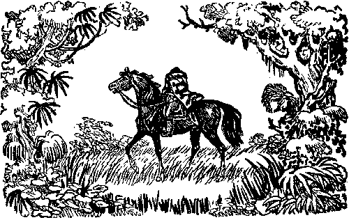 Иллюстрация к книге — Мароны. Всадник без головы [i_028.png]