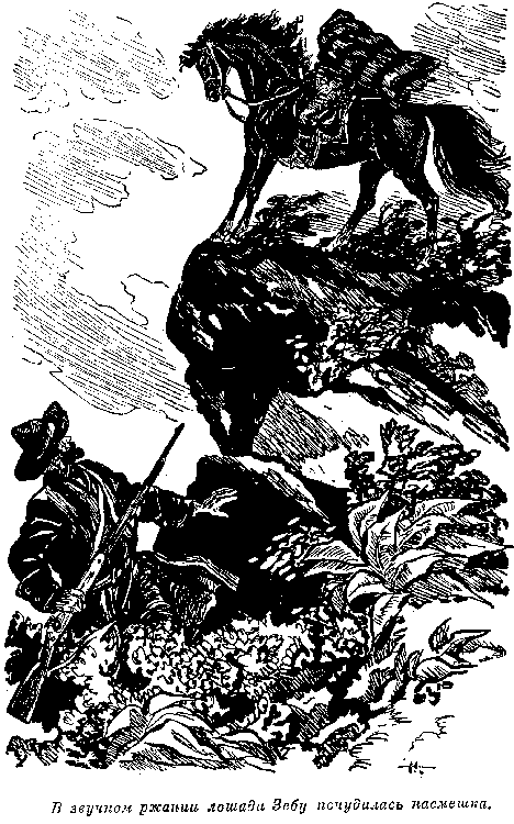 Иллюстрация к книге — Мароны. Всадник без головы [i_039.png]