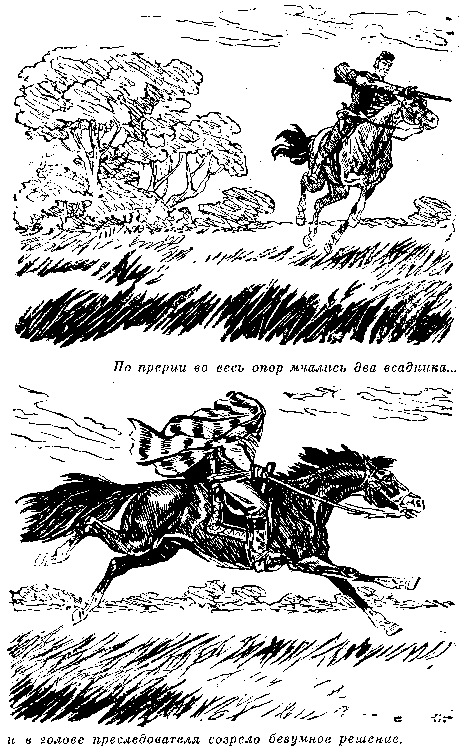 Иллюстрация к книге — Мароны. Всадник без головы [i_042.png]