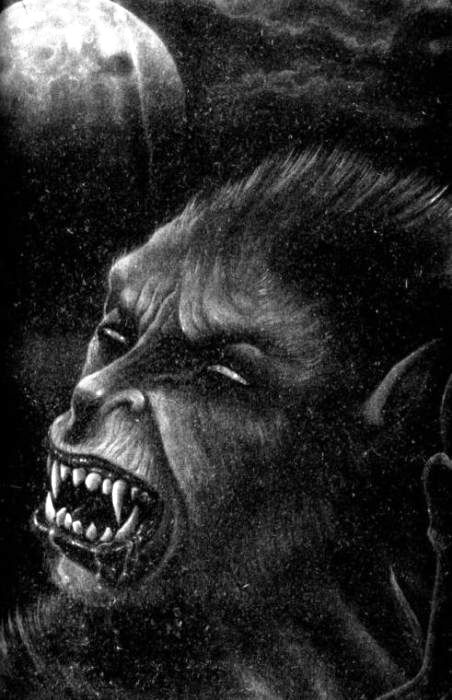 Иллюстрация к книге — Оборотни. Люди-волки [i_012.jpg]