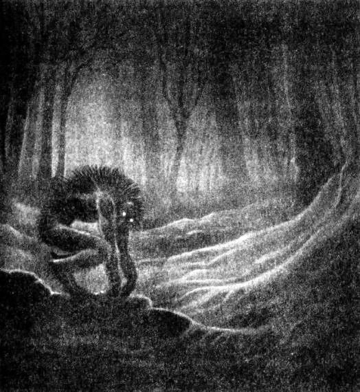 Иллюстрация к книге — Оборотни. Люди-волки [i_018.jpg]