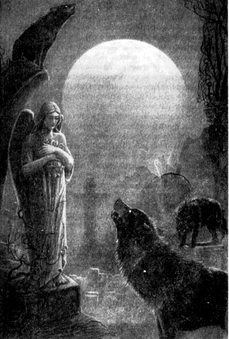 Иллюстрация к книге — Оборотни. Люди-волки [i_025.jpg]