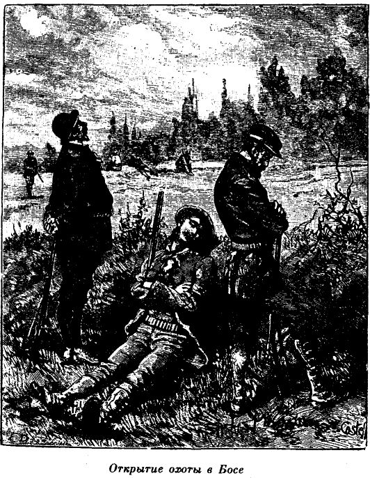 Иллюстрация к книге — Приключения в стране львов. Приключения в стране тигров [i_004.jpg]