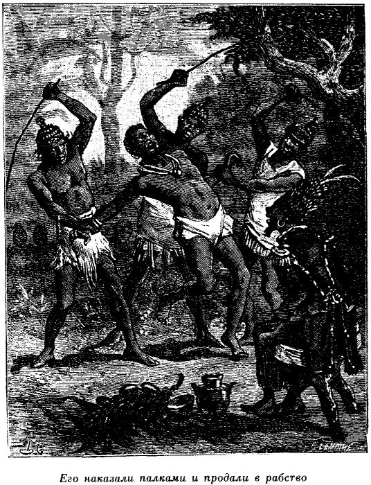 Иллюстрация к книге — Приключения в стране львов. Приключения в стране тигров [i_011.jpg]