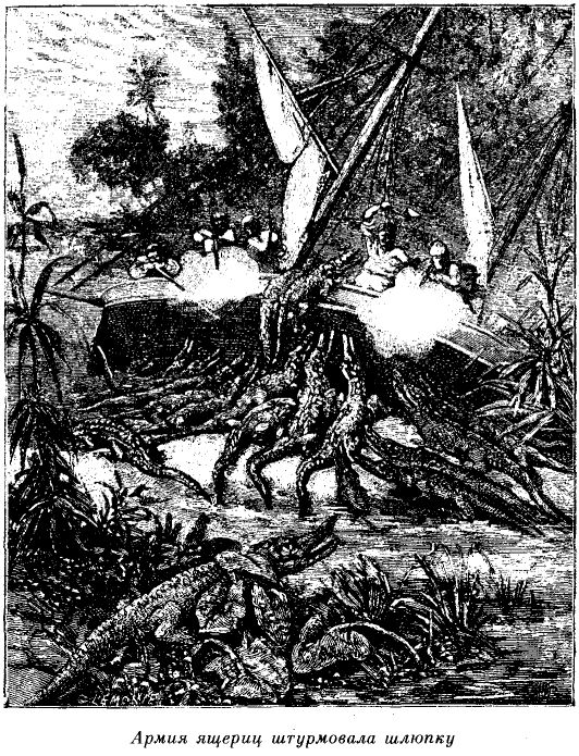 Иллюстрация к книге — Приключения в стране львов. Приключения в стране тигров [i_012.jpg]