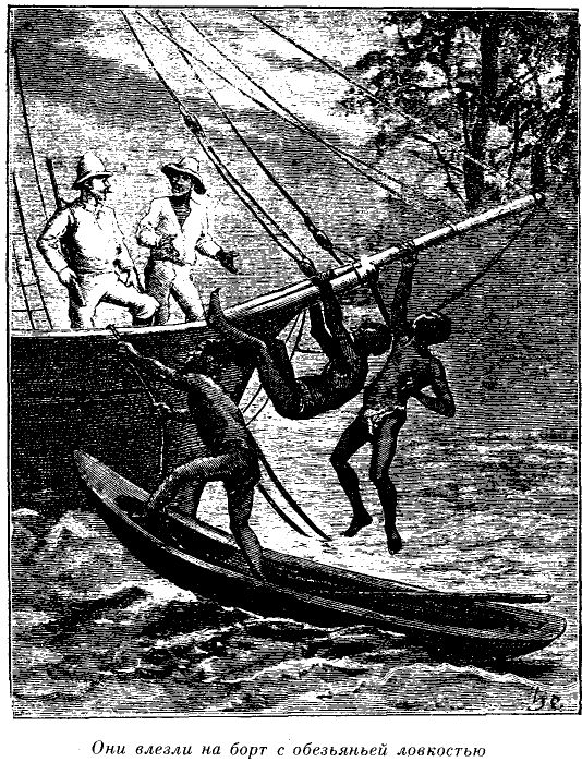 Иллюстрация к книге — Приключения в стране львов. Приключения в стране тигров [i_013.jpg]