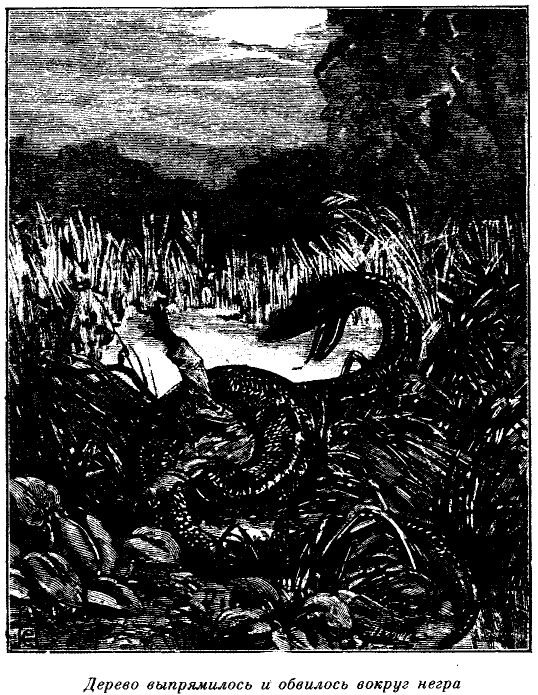 Иллюстрация к книге — Приключения в стране львов. Приключения в стране тигров [i_017.jpg]