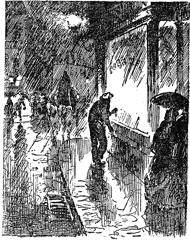 Иллюстрация к книге — Дамское счастье [i_007.png]