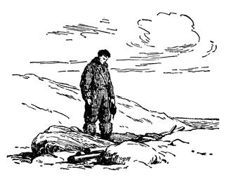 Иллюстрация к книге — Два капитана [img9478.jpg]