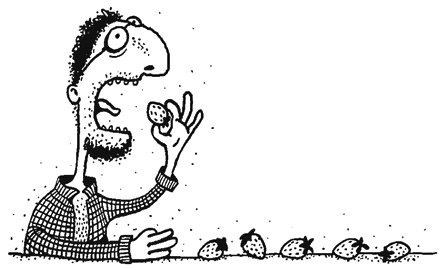 Иллюстрация к книге — Осенний полет таксы [i_003.png]