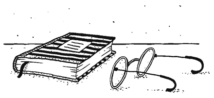 Иллюстрация к книге — Осенний полет таксы [i_009.png]