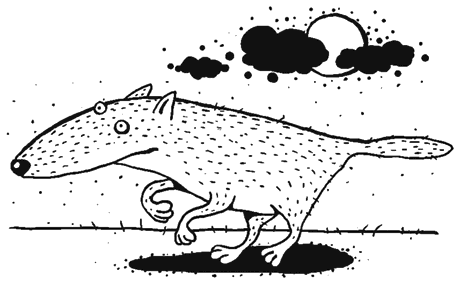 Иллюстрация к книге — Осенний полет таксы [i_026.png]