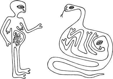 Иллюстрация к книге — Госпожа яблок [_12.jpg]