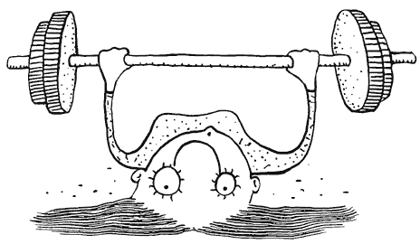 Иллюстрация к книге — Как правильно ошибаться. Большая книга мануалов [i_068.png]