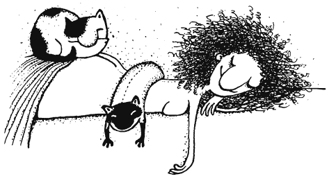 Иллюстрация к книге — Как правильно ошибаться. Большая книга мануалов [i_112.png]