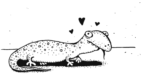 Иллюстрация к книге — Как правильно ошибаться. Большая книга мануалов [i_119.png]