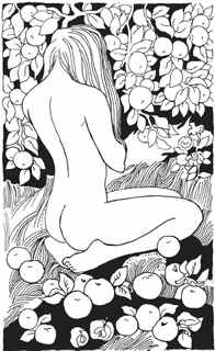 Иллюстрация к книге — Книга обманов [_49.jpg]