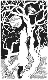 Иллюстрация к книге — Книга обманов [_53.jpg]