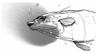 Иллюстрация к книге — Книга обманов [_66.jpg]