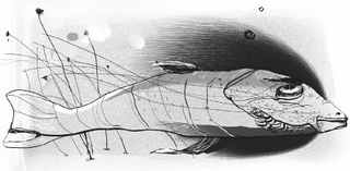 Иллюстрация к книге — Книга обманов [_67.jpg]