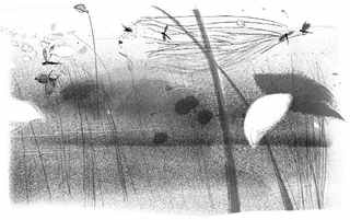 Иллюстрация к книге — Книга обманов [_70.jpg]