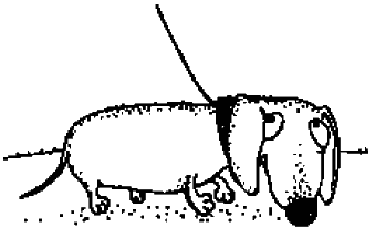 Иллюстрация к книге — Справочник по уходу и возвращению [i_041.png]