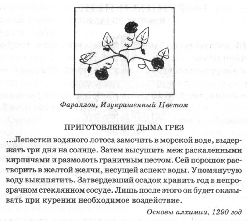 Иллюстрация к книге — Дар сгоревшего бога [i_013.jpg]