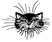 Иллюстрация к книге — Приключения Чиполлино [g27.png]