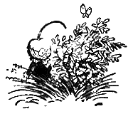 Иллюстрация к книге — Приключения Чиполлино [g36.png]