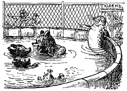 Иллюстрация к книге — Приключения Чиполлино [g40.png]