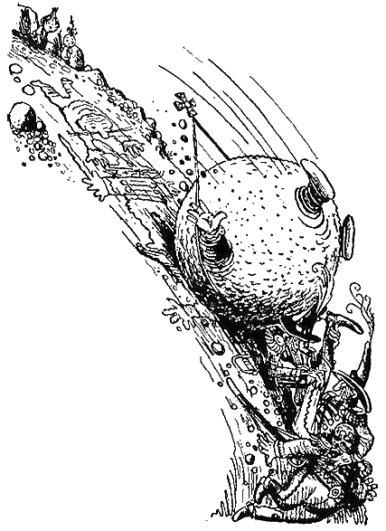 Иллюстрация к книге — Приключения Чиполлино [g47.png]