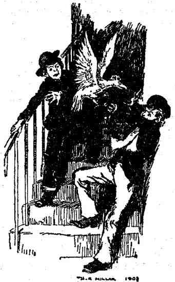 Иллюстрация к книге — Феникс и ковер [i_012.jpg]