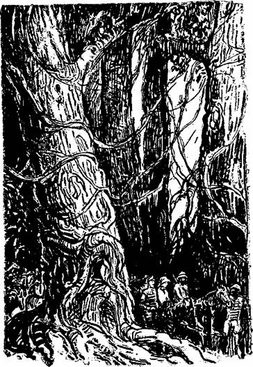 Иллюстрация к книге — Необыкновенные приключения экспедиции Барсака [i_006.jpg]