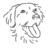 Иллюстрация к книге — Нежный бренд или Рождество в Париже [i_045.png]