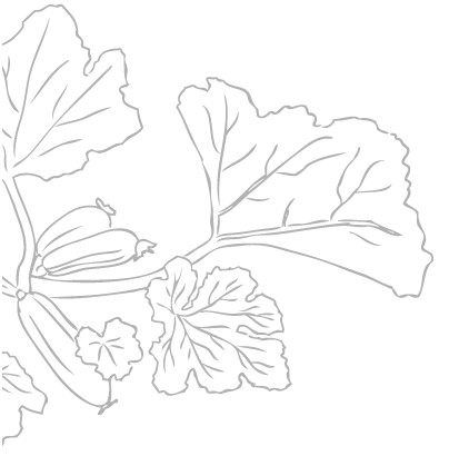 Иллюстрация к книге — Тонкие материи, или Туманы лондонских улиц [i_021.jpg]