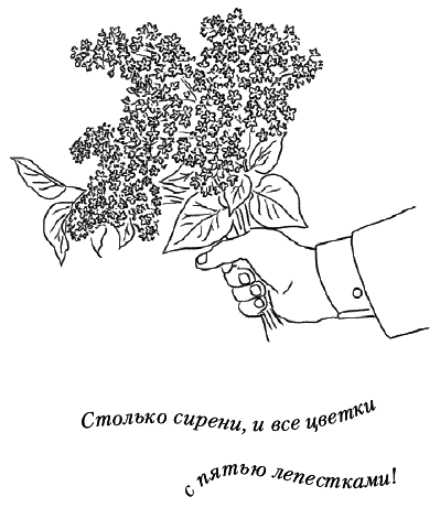 Иллюстрация к книге — Лунные истории для тех, кто не спит [_015.png]