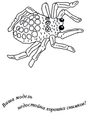 Иллюстрация к книге — Лунные истории для тех, кто не спит [_105.png]