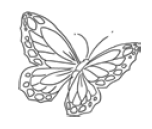 Иллюстрация к книге — Рассыпанный жемчуг, или Свидание в Праге [i_013.png]