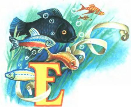 Иллюстрация к книге — Белоснежка в Подводном царстве [p057.jpg]