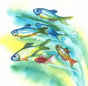 Иллюстрация к книге — Белоснежка в Подводном царстве [p074.jpg]