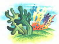 Иллюстрация к книге — Белоснежка в Подводном царстве [p080.jpg]